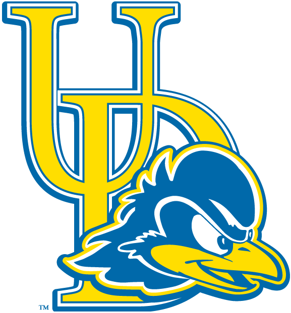 Delaware Blue Hens 2009-Pres Alternate Logo v2 diy iron on heat transfer